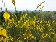 20120608_110746