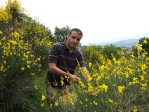 20120608_113020